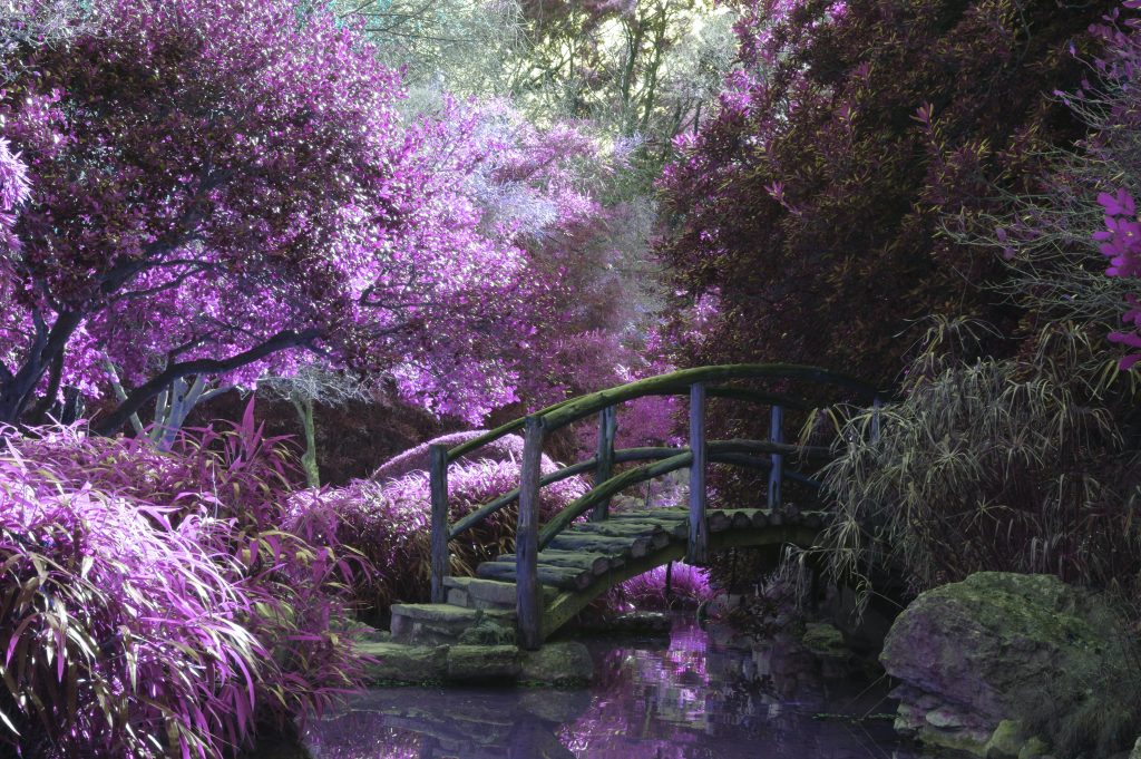 My Top 5 Inspirations for Writing My Top 5 Inspirations for Writing